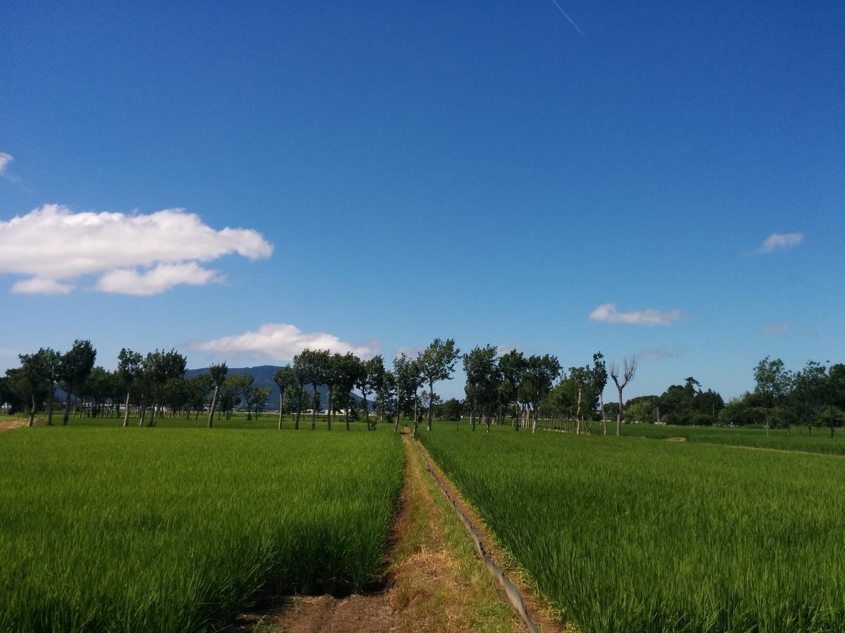 Iwamuro Slow Hostel Niigata Exteriér fotografie