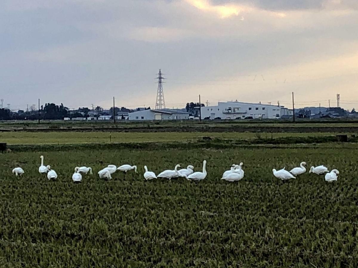 Iwamuro Slow Hostel Niigata Exteriér fotografie